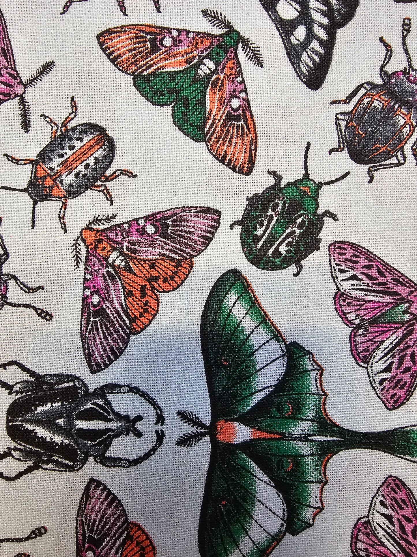 flat keychain wallet "Beatles and Moths"